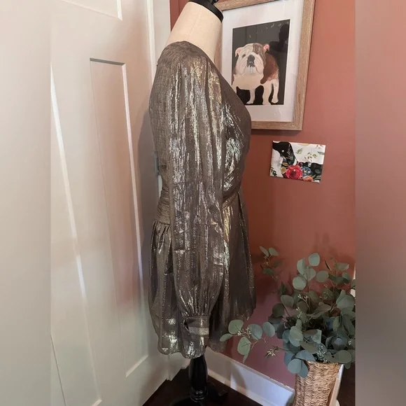 Ramy Brook Elise mini deep V plunge mini silk metallic draped lined 6 dress - Picture 6 of 15